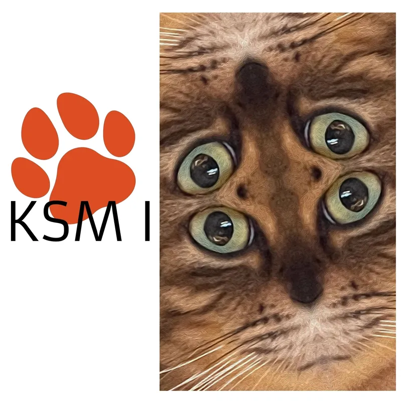 Cover von KSM Vol. I: das Pfotenlogo neben einer Katze mit vier Augen